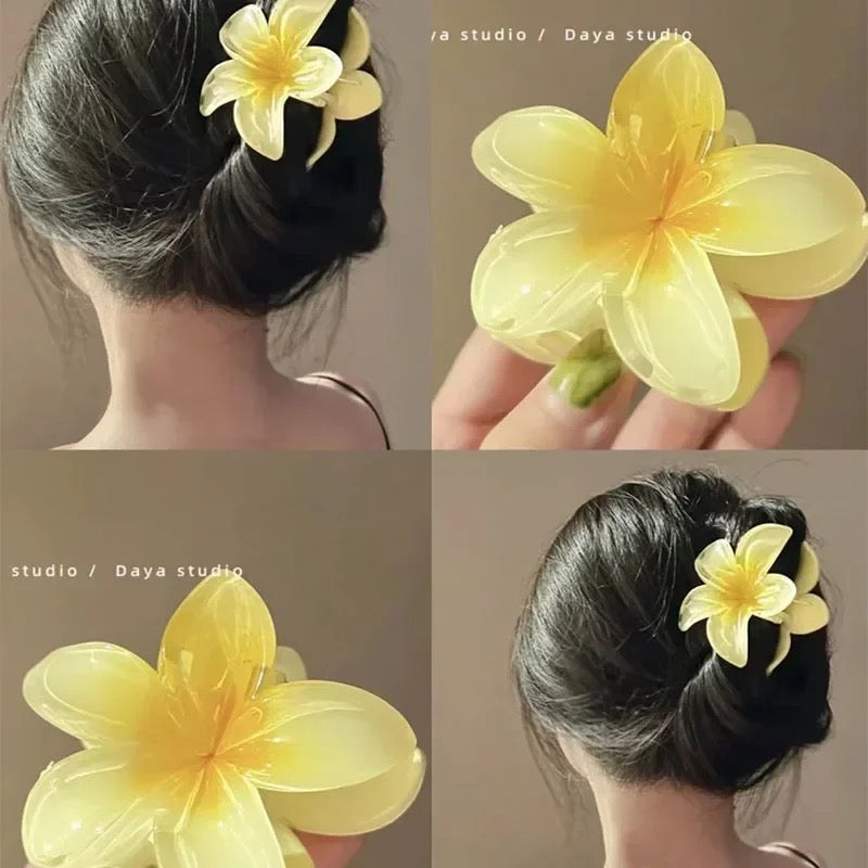 Hawaii flowers