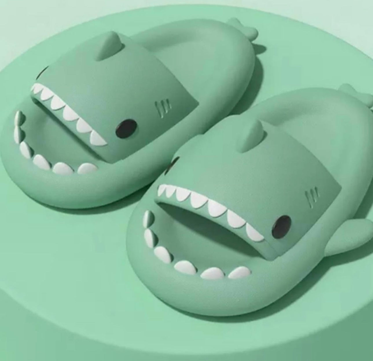 Shark Slippers